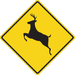 How to lower your risk for a deer collision in Santa Fe Springs, CA