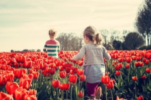 Spring Activities to Consider in Santa Fe Springs, CA